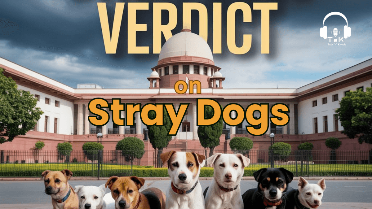 10 Lakh Stray Dogs, Barely Any Shelters: What Delhi-NCR Faces After the Supreme Court’s Order